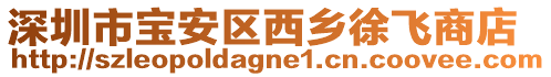 深圳市寶安區(qū)西鄉(xiāng)徐飛商店