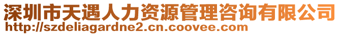 深圳市天遇人力資源管理咨詢(xún)有限公司