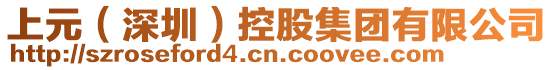 上元(深圳)控股集團有限公司