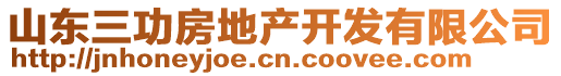 山東三功房地產(chǎn)開發(fā)有限公司