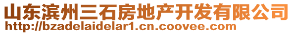 山東濱州三石房地產(chǎn)開發(fā)有限公司