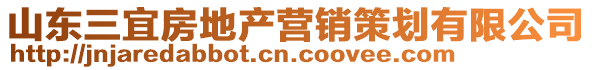 山東三宜房地產營銷策劃有限公司