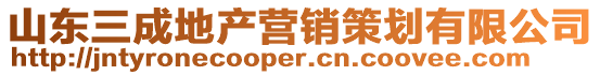 山東三成地產(chǎn)營銷策劃有限公司