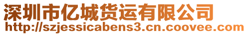 深圳市億城貨運(yùn)有限公司