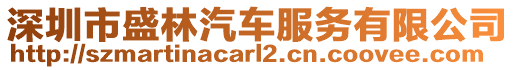 深圳市盛林汽車服務有限公司