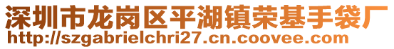 深圳市龍崗區(qū)平湖鎮(zhèn)榮基手袋廠