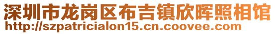 深圳市龍崗區布吉鎮欣暉照相館