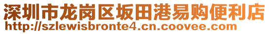 深圳市龍崗區(qū)坂田港易購便利店