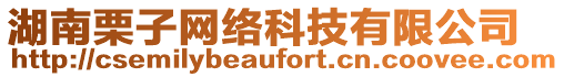 湖南栗子網(wǎng)絡(luò)科技有限公司