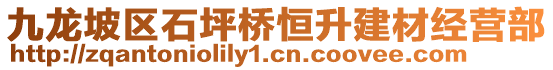 九龍坡區(qū)石坪橋恒升建材經(jīng)營部