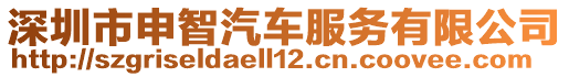 深圳市申智汽車服務(wù)有限公司