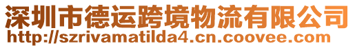 深圳市德運跨境物流有限公司