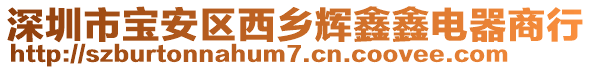 深圳市寶安區(qū)西鄉(xiāng)輝鑫鑫電器商行