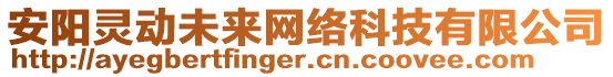 安陽靈動未來網(wǎng)絡(luò)科技有限公司