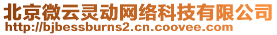 北京微云靈動(dòng)網(wǎng)絡(luò)科技有限公司