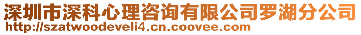 深圳市深科心理咨詢有限公司羅湖分公司