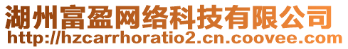 湖州富盈網(wǎng)絡(luò)科技有限公司