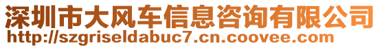 深圳市大風(fēng)車信息咨詢有限公司