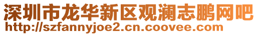 深圳市龍華新區(qū)觀瀾志鵬網(wǎng)吧