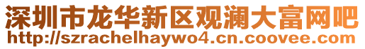 深圳市龍華新區觀瀾大富網吧