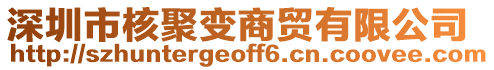 深圳市核聚變商貿(mào)有限公司