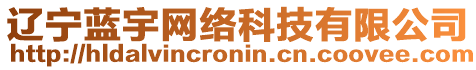 遼寧藍(lán)宇網(wǎng)絡(luò)科技有限公司