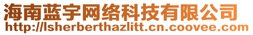 海南藍(lán)宇網(wǎng)絡(luò)科技有限公司