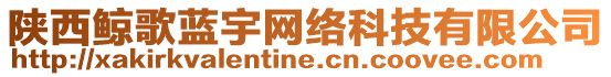 陜西鯨歌藍(lán)宇網(wǎng)絡(luò)科技有限公司