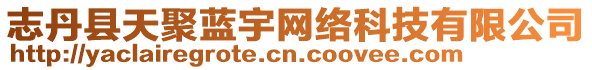 志丹縣天聚藍(lán)宇網(wǎng)絡(luò)科技有限公司