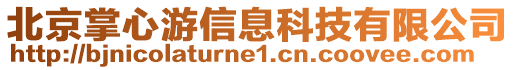 北京掌心游信息科技有限公司