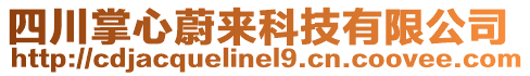 四川掌心蔚來科技有限公司