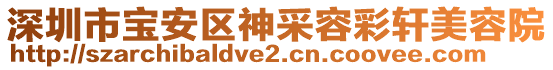 深圳市寶安區(qū)神采容彩軒美容院