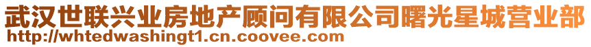 武漢世聯(lián)興業(yè)房地產(chǎn)顧問有限公司曙光星城營業(yè)部