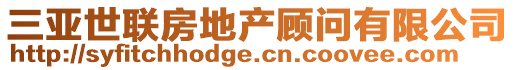 三亞世聯(lián)房地產(chǎn)顧問有限公司