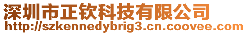 深圳市正欽科技有限公司