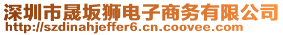 深圳市晟坂獅電子商務(wù)有限公司