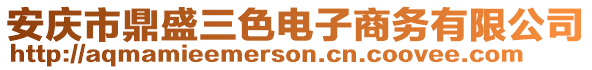 安慶市鼎盛三色電子商務有限公司