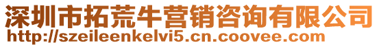 深圳市拓荒牛營銷咨詢有限公司