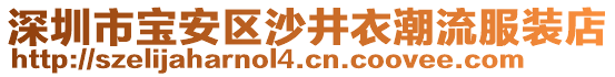 深圳市寶安區沙井衣潮流服裝店