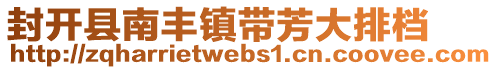 封開縣南豐鎮帶芳大排檔