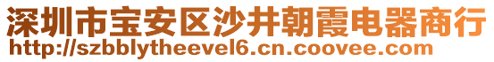 深圳市寶安區沙井朝霞電器商行