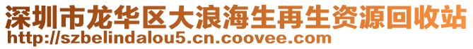 深圳市龍華區(qū)大浪海生再生資源回收站