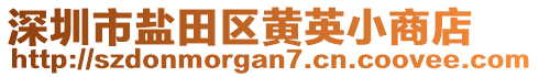 深圳市盐田区黄英小商店