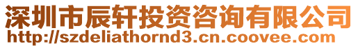 深圳市辰軒投資咨詢有限公司