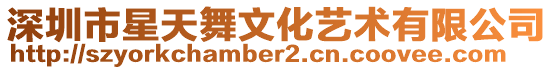 深圳市星天舞文化藝術(shù)有限公司