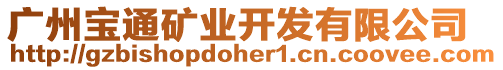 廣州寶通礦業(yè)開發(fā)有限公司