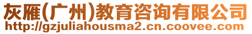 灰雁(廣州)教育咨詢有限公司