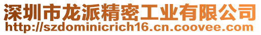 深圳市龍派精密工業(yè)有限公司