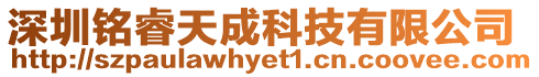 深圳銘睿天成科技有限公司