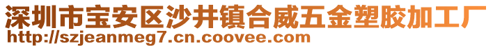 深圳市寶安區(qū)沙井鎮(zhèn)合威五金塑膠加工廠